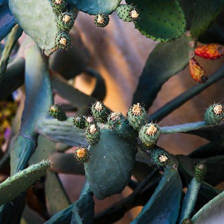 A La Maison B&B Xagħra Eksteriør bilde